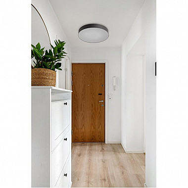 Настенно-потолочный светильник Optima 7780/ELN