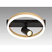 Настенно-потолочный светильник 000031052