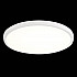Настенно-потолочный светодиодный светильник ST Luce ST601.532.32