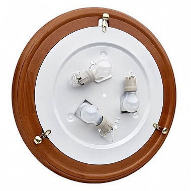 Потолочный светильник Sonex Napoli 359