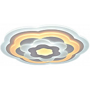 Настенно-потолочный светильник CW1L 000024223