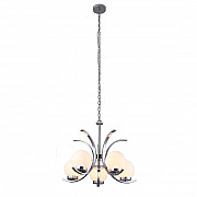 Подвесная люстра Arte Lamp Claudia A8055LM-5CC