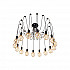 Подвесная люстра Loft IT Spider Loft1162/16
