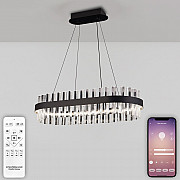 Подвесная люстра Royalton LED LAMPS 81276