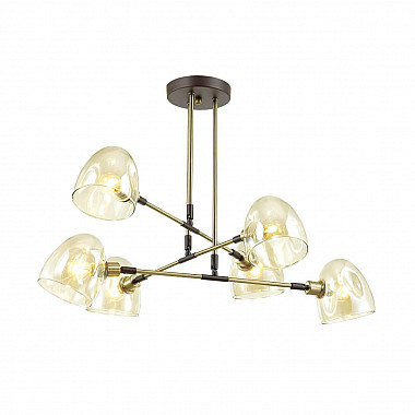 Подвесная люстра Lumion Noah 4434/6C