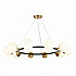 Подвесная люстра Evoluce FORLI SLE220403-10