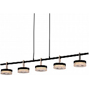 Подвесная люстра P0855 P0855-5B black