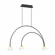 Подвесная люстра Odeon Light Arco 4100/3