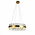 Подвесная светодиодная люстра Aployt Martayn APL.031.03.75