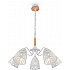 Подвесная люстра Nendo FR5138PL-05W