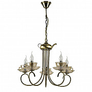 Подвесная люстра Arte Lamp A1750LM-5AB