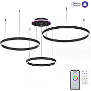 Подвесная люстра Дуэт Смарт CL719A701