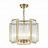 Подвесная люстра ST Luce Cosenza SL1234.203.03