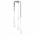Подвесная люстра Lightstar Conicita 804250