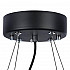 Подвесная люстра Lightstar Globo 803167