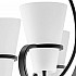 Подвесная люстра Lightstar Fiacolla 733067
