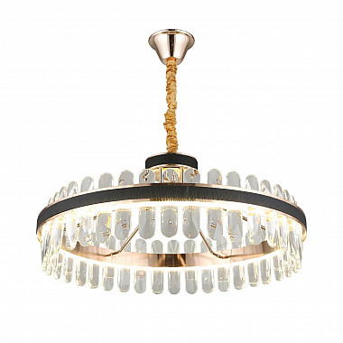 Подвесная светодиодная люстра Aployt Honori APL.027.03.102