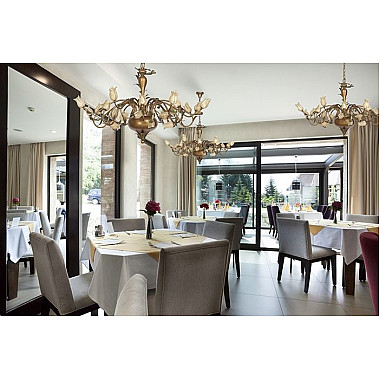 Подвесная люстра Volterra Volterra E 1.1.24 BR