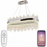 Подвесная люстра Smart Нимбы LED LAMPS 81265