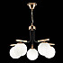 Подвесная люстра Evoluce Sonco SLE106803-05