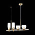 Подвесная люстра ST Luce Teneresa SL1119.203.04
