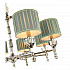 Подвесная люстра ST Luce Oleo SL1121.103.08