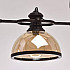 Подвесная люстра MW-Light Нойвид 4 682012103