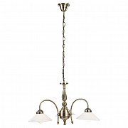 Подвесная люстра Globo Landlife 6870-3