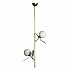 Подвесная люстра Loft IT Matisse 10008/2P Grey