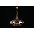 Подвесная люстра Aployt Franko APL.601.16.03