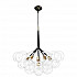 Подвесная люстра Loft IT Bunch 10048/6 Black