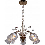 Подвесная люстра 50028-0.4-05 FGD