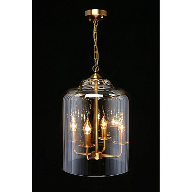 Подвесная люстра Aployt Polin APL.603.06.06