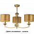 Потолочная люстра Decor DEC-ZW-3(N/A)