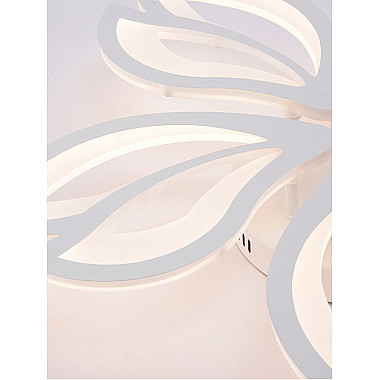 Потолочная люстра Fortuna LED LAMPS 81107/4C