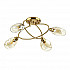 Потолочная люстра Lumion Orla 4483/4C