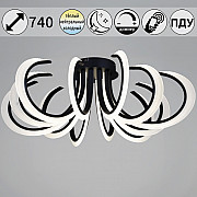 Потолочная люстра 74390-0.3-6+6 black