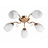 Потолочная люстра Kristin TL3520X-05FG