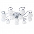Потолочная люстра Arte Lamp A6058PL-12CC