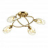 Потолочная люстра Lumion Orla 4483/4C