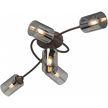 Потолочная люстра V2048-7/5PL