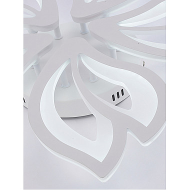 Потолочная люстра Fortuna LED LAMPS 81107/4C