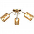 Потолочная люстра Seven Fires Скалея 66274.01.01.03