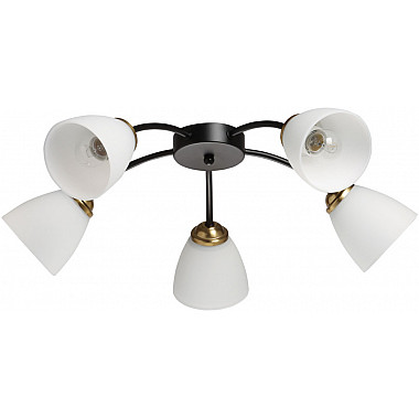 Потолочная люстра Нежность 676016805