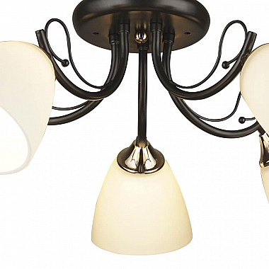 Потолочная люстра Seven Fires Алес 66268.01.69.05