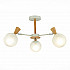 Потолочная люстра Evoluce Catania SLE220702-03