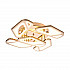 Потолочная светодиодная люстра Ambrella light Original FA589
