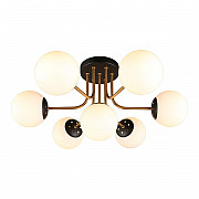 Потолочная люстра Aployt Ewka APL.906.17.07