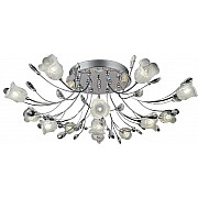 Потолочная люстра SL1N 000067883