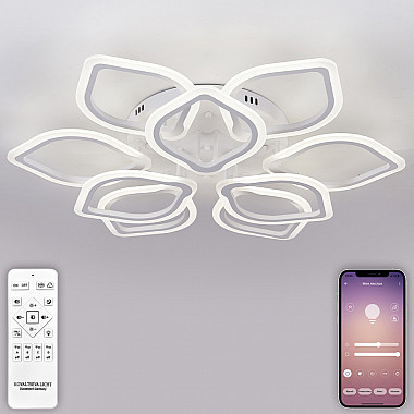 Потолочная люстра Real LED LAMPS 81168